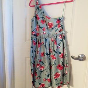 Express Silk Daydress
